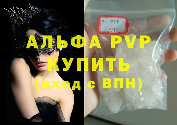 дмт Новозыбков