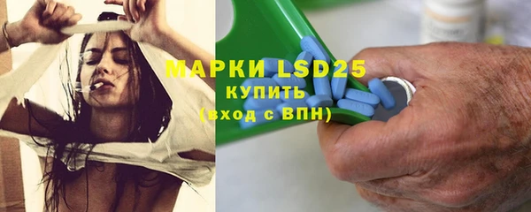 СК Новодвинск
