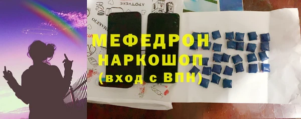 СК Новодвинск