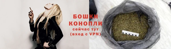 дмт Новозыбков