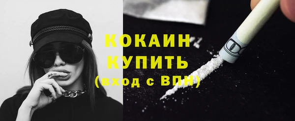 СК Новодвинск