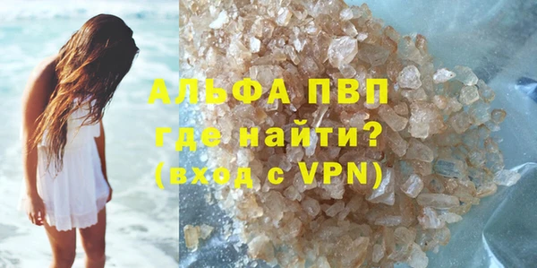 СК Новодвинск