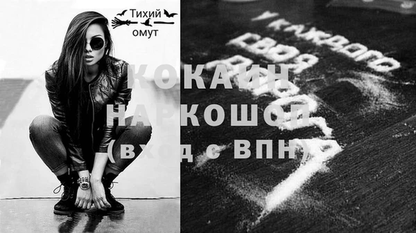 СК Новодвинск