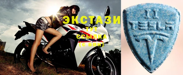 СК Новодвинск