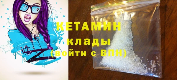 СК Новодвинск
