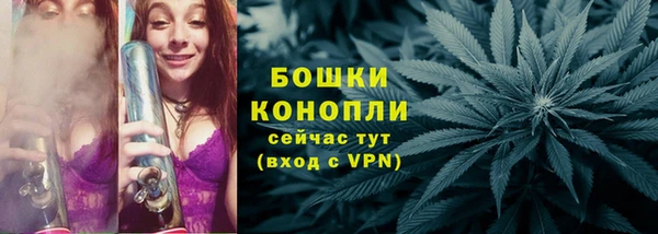 дмт Новозыбков