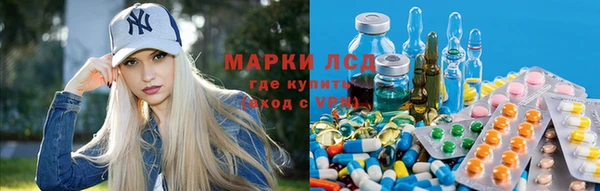 дмт Новозыбков